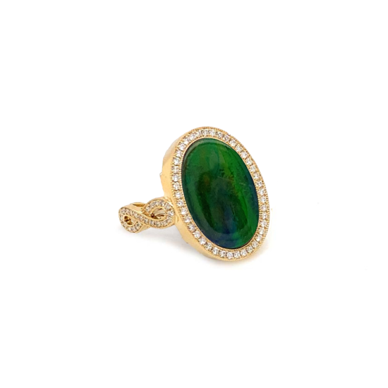 AMMONITE RING WITH 88 PIECES OF DIAMOND ,18K GOLD AMMONITE RING WITH 88 PIECES OF DIAMOND ,18K GOLD