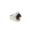 Black silver sea-shell horse ring on white seashell crated in deferent colors Black silver sea-shell horse ring on white seashell crated in deferent colors