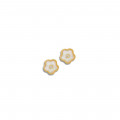 gold Earring made by seashell with diamond